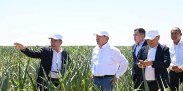 Жалағашта «Harvest Agro» компаниясы агроөнеркәсіптік жобаны жүзеге асыруда