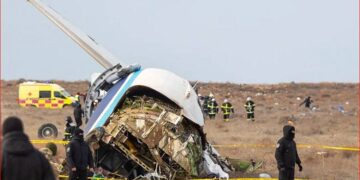 «Версия с птицами – полная туфта»