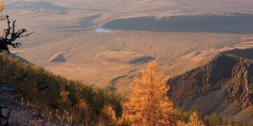 Гүлзейнеп Сәдірқызы. Ақтоқал (әңгіме)
