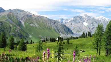 Photo of Гүлзейнеп Сәдірқызы. Нәлет (әңгіме)