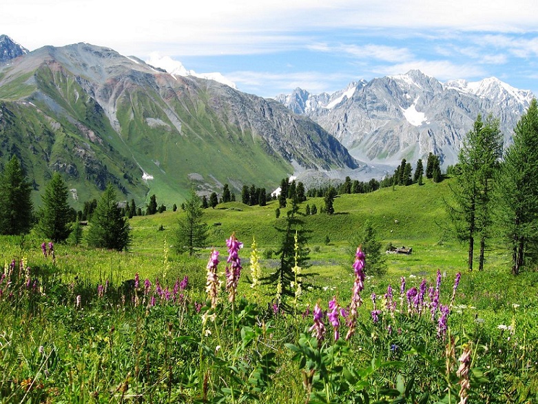 Гүлзейнеп Сәдірқызы. Нәлет (әңгіме)