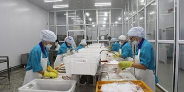 Аралдықтар ата кәсібі – балықшылықты дамытуды жалғастырып келеді