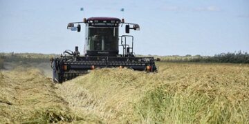 Сыр бойында ауыл шаруашылығына 9,4 млрд теңге инвестиция құйылды