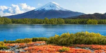 Корея президенттігіне үміткер Ресейден Қиыр Шығысты сұрады