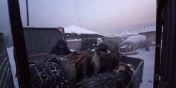 Тыва билігі соғыста қаза тапқандар отбасына тегін отын беріп жатыр
