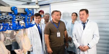 Қызылорда облысында көп жылдан кейін қайтадан құс фабрикасы қатарға қосылды