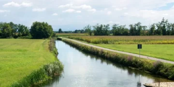 Шиелідегі арықтан бір қыз баланың өлі денесі табылды