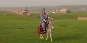 Науқастардың шақыртуына есекпен баратын медбикеге орден берілді