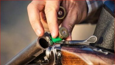 Photo of Қызылорда облысында заңсыз аң аулаған күдіктілер қолға түсті