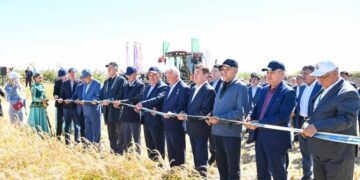 «Дала күні-2026»: Сыр бойында ақ күрішке орақ түсті