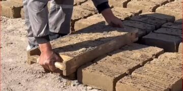 Қызылордадағы кірпіш зауытында 50-ге жуық сотталған еңбек етеді
