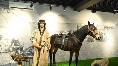 Photo of Қызылордада мәдениет саласының қызметкерлеріне 40 пәтер берілді