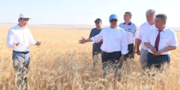 Шөкеев техника жасаушыларды алаяқ деді