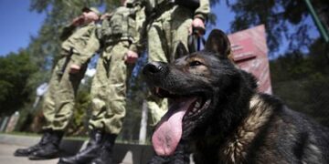 Бейжің Мәскеуден қытайлықтарды шекарада неге тергегенін қатаң сұрады