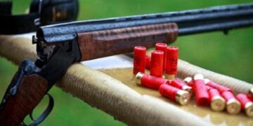 Әкесінің көзіне шөп салғаны үшін ұлы анасын өлтірді