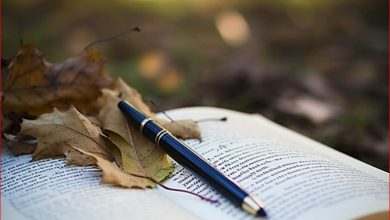 Photo of Біз құрмет тұтатын ниеті насат Несібелі