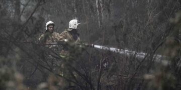 Абай облысындағы өртпен күресте қаза тапқандар орденмен марапатталды
