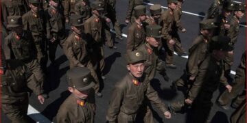 Солтүстік Корея әскерлері Курскіде Путин сарбаздарын қырып салды
