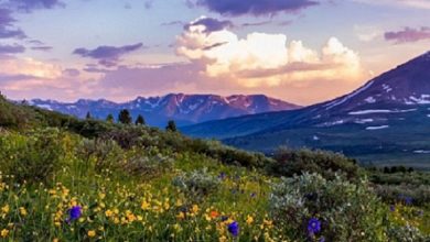 Photo of Қазақстанда өмір сүру ұзақтығы рекордтық деңгейде өсіп отыр