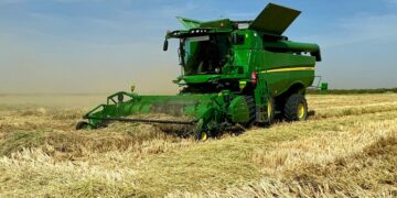 Сыр бойында күріштен рекордтық деңгейде өнім алынып жатыр