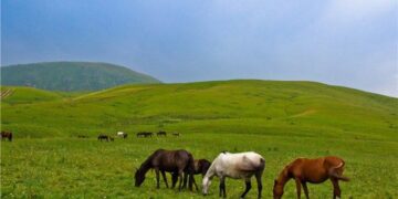 ҮШҚОҢЫР НАЗАРБАЕВТАР МЕНШІГІ БОЛЫП ҚАЛА БЕРЕ МЕ?