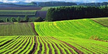 Тоқаев жерді шетелдіктерге сату мен жалға беруге тыйым салды